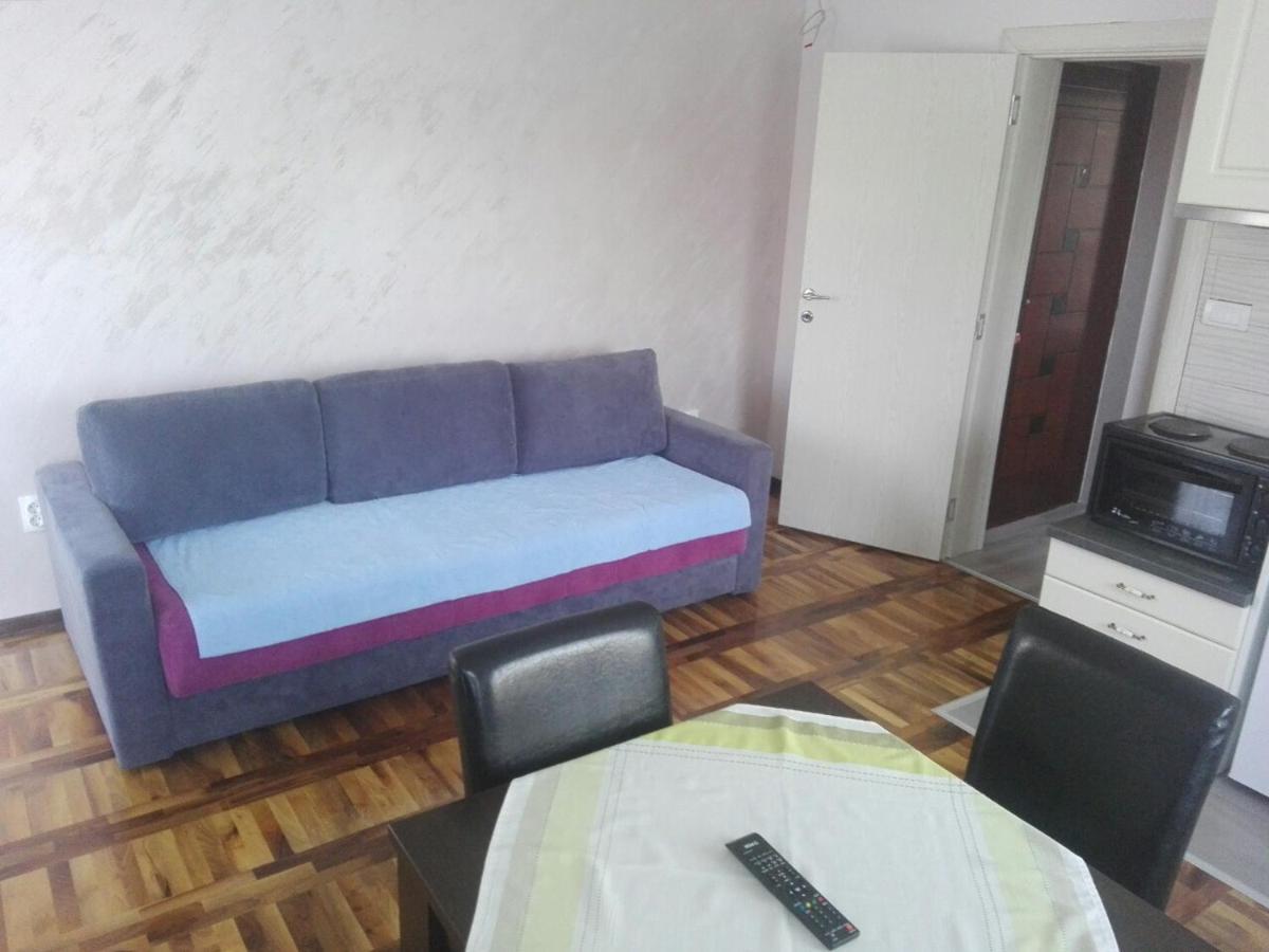 Apartments Vila Velickovic Zlatibor Exterior foto